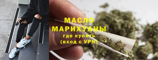 хмурый Арсеньев
