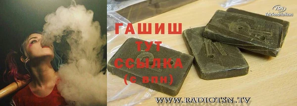 PSILOCYBIN Алзамай