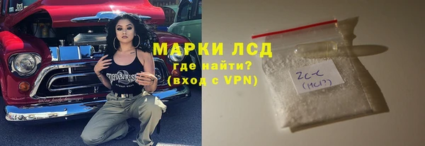 хмурый Арсеньев
