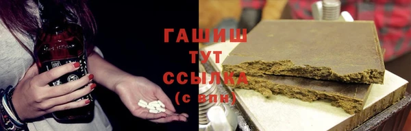хмурый Арсеньев