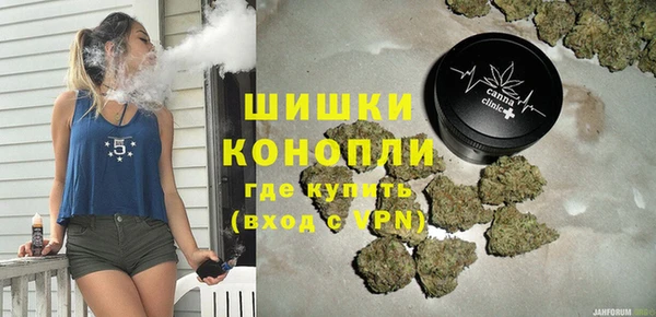 PSILOCYBIN Алзамай