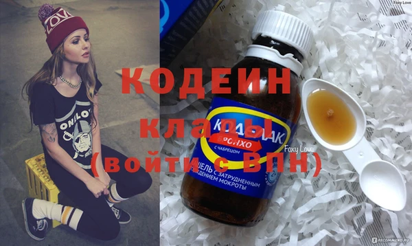 хмурый Арсеньев